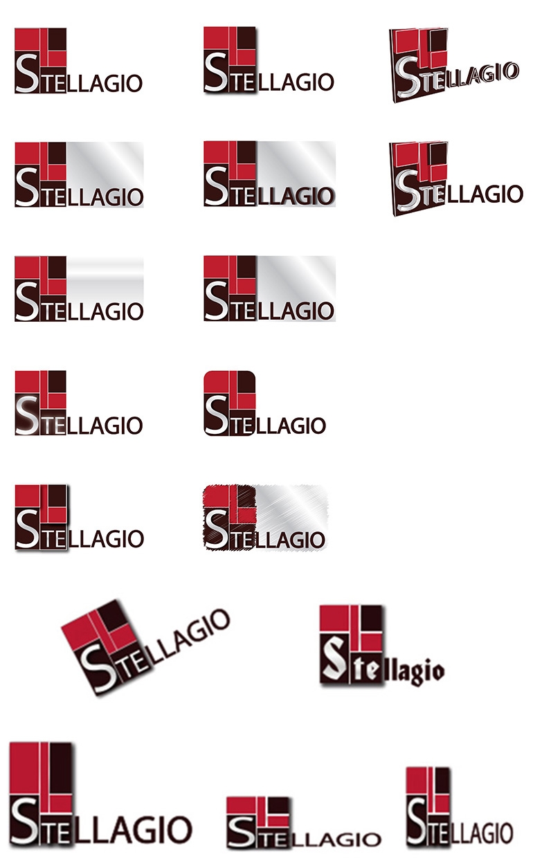 Портфолио брендинг разработка логотипа для компании Stelagio